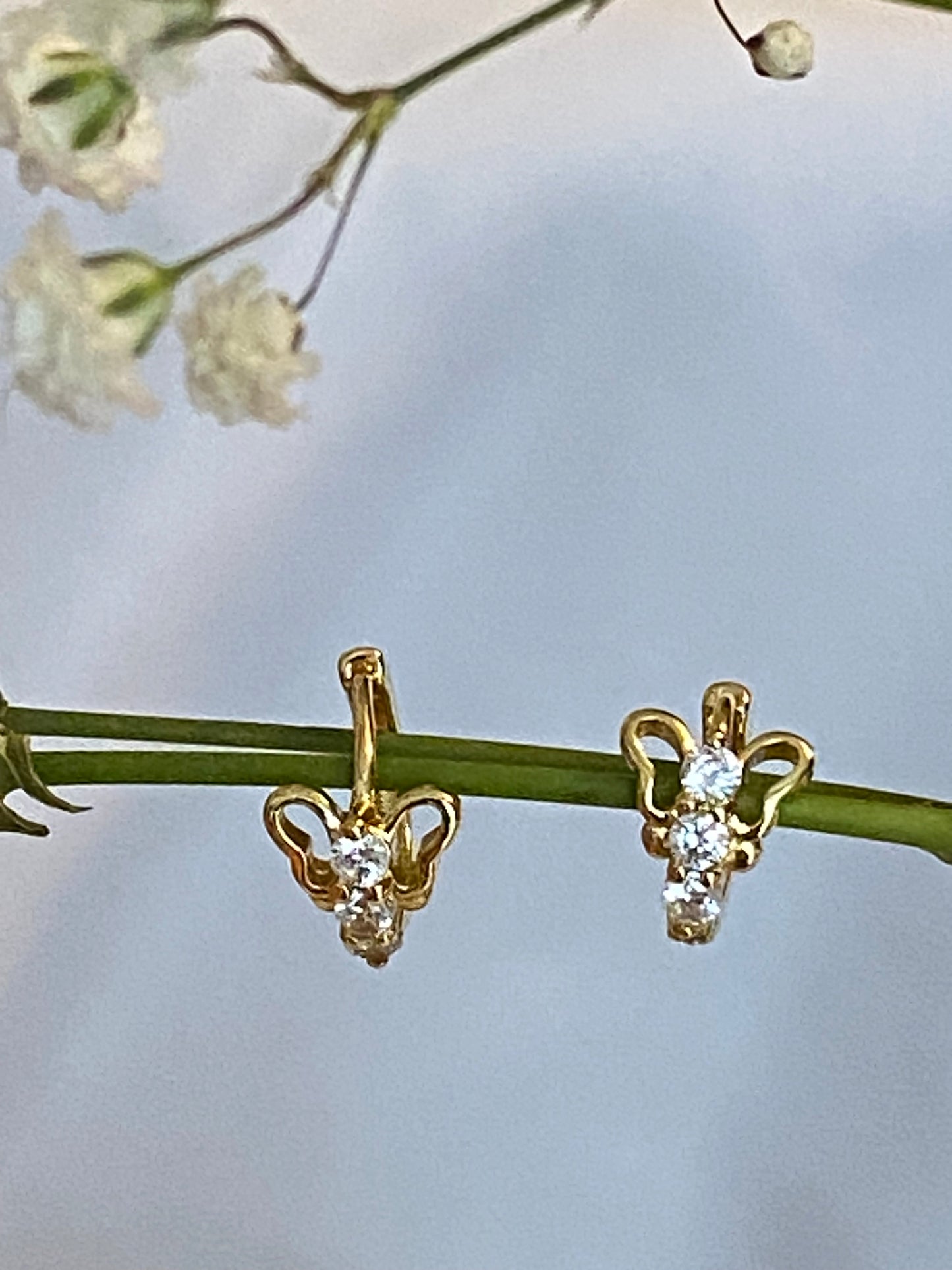 Delicate