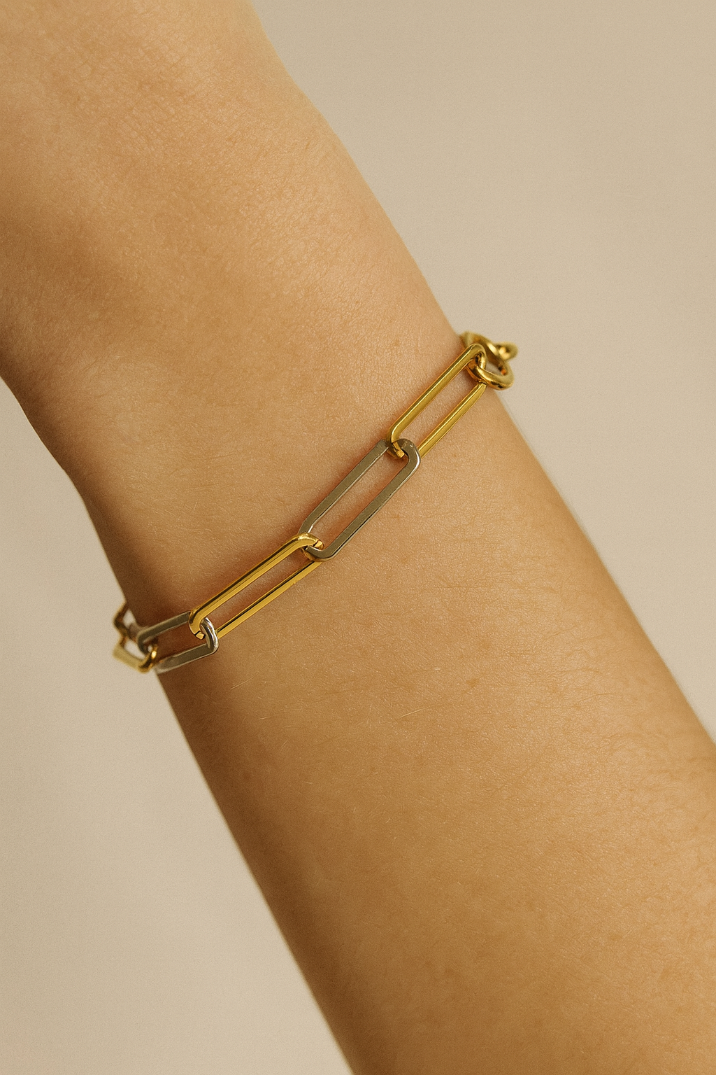 Two tone treasure paper clip bracelet
